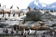 Foto: Tierra del Fuego. Gateway to the Icy Continent